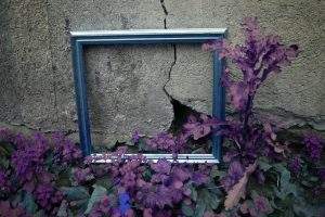 force et vulnérabilité